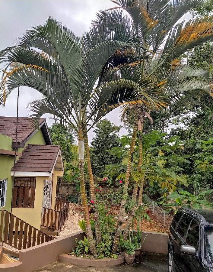 Gables Vacation Rentals With Private Gated Parking Onsite Knockpatrick 외부 사진