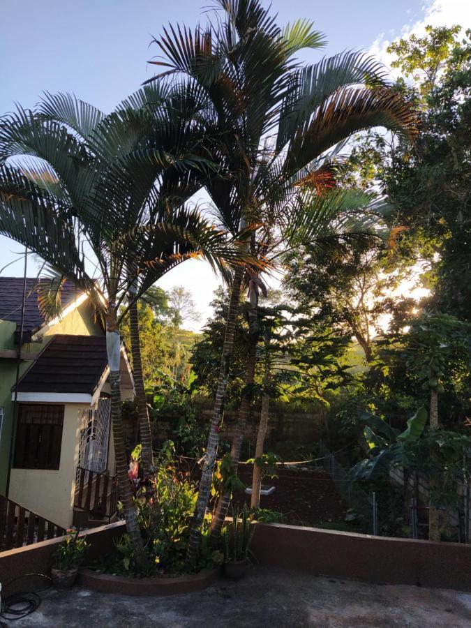 Gables Vacation Rentals With Private Gated Parking Onsite Knockpatrick 외부 사진