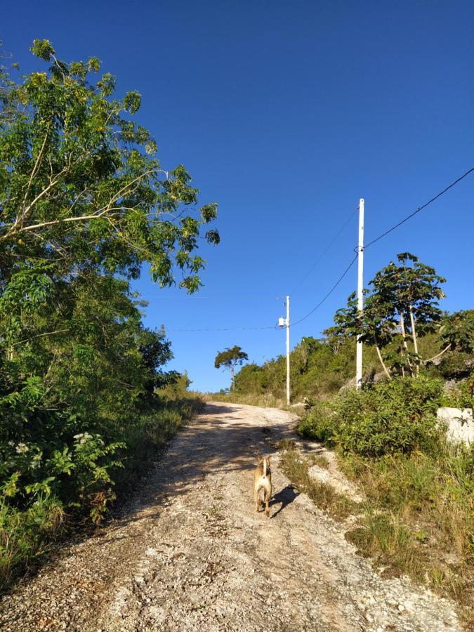 Gables Vacation Rentals With Private Gated Parking Onsite Knockpatrick 외부 사진
