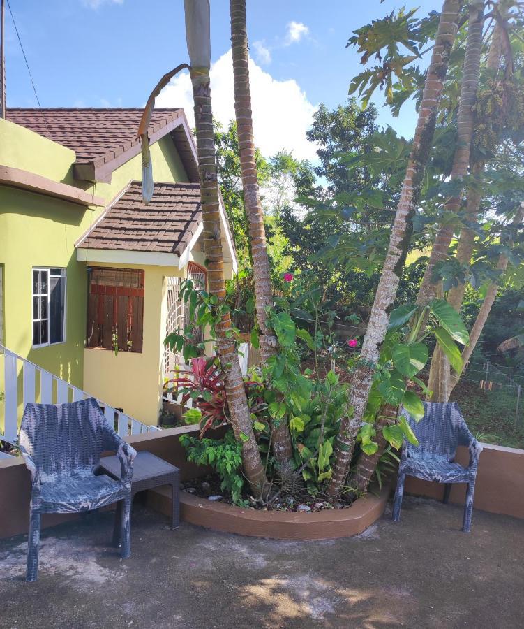 Gables Vacation Rentals With Private Gated Parking Onsite Knockpatrick 외부 사진